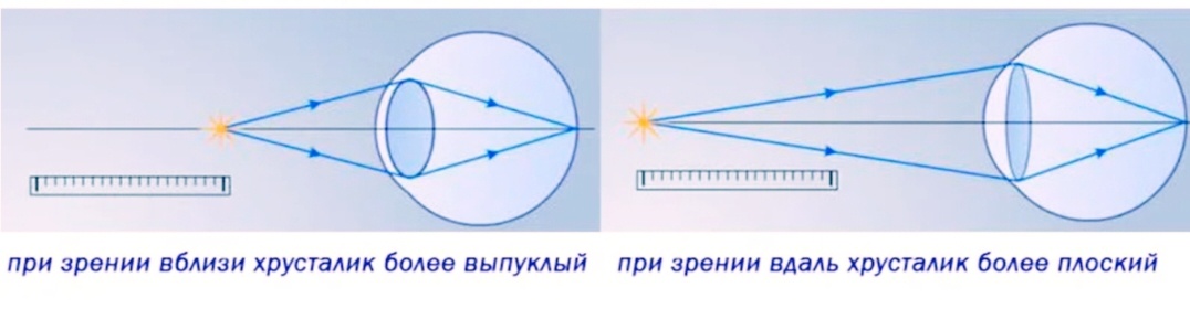 Изображение из Яндекс картинки 