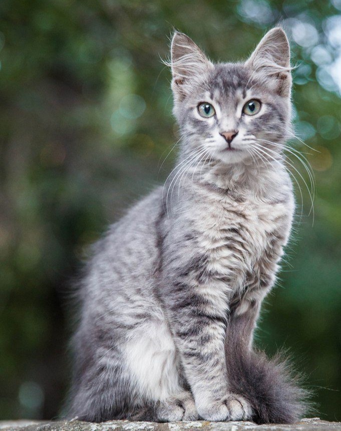 Фото из Интернета. 