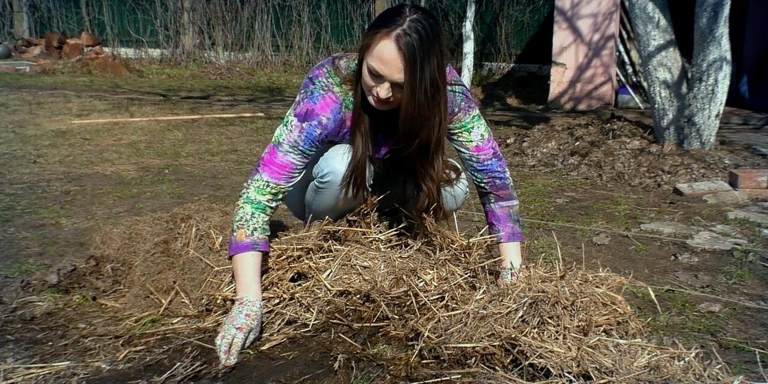 Ее всегда не хватает! 7 неожиданных мест, где дачники берут органику для грядок