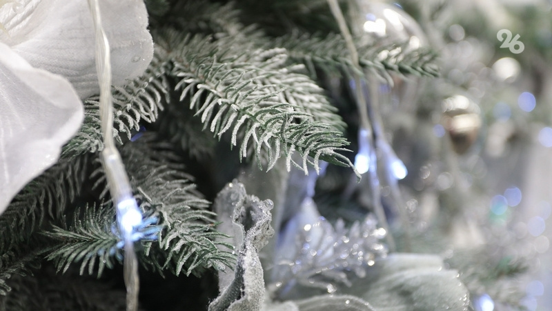      Фото: ИА «Победа26»