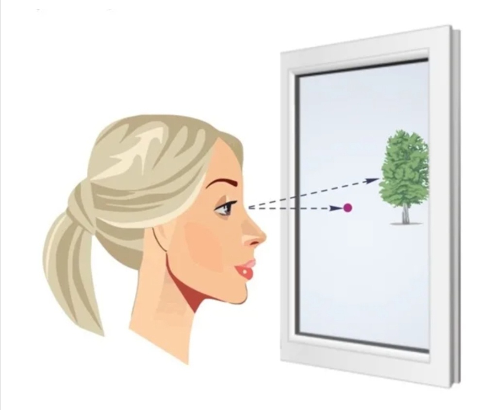 Изображение из Яндекс картинки 