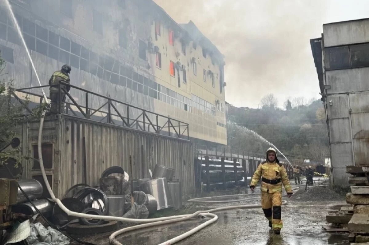    В Сочи локализовали крупный пожар