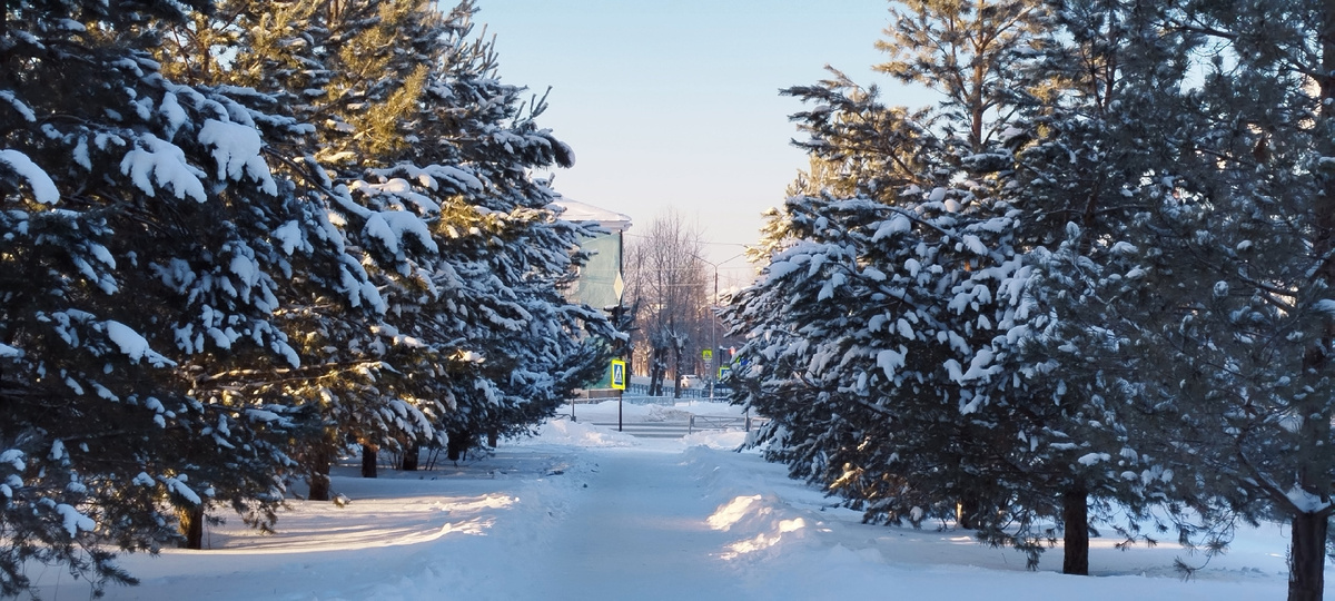 Фото из интернета