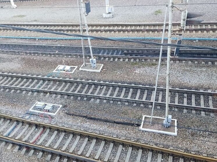     Среди них один поезд следует из Петербурга, три – в Северную столицу. Фото: архив МК в Питере