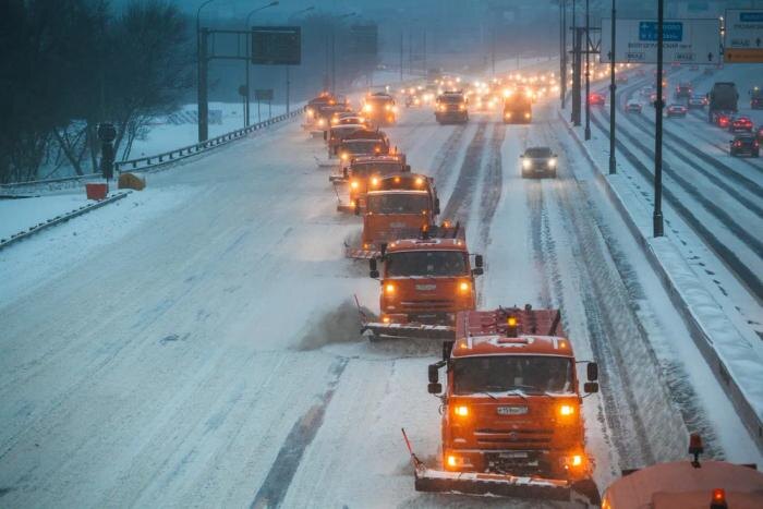 Обложка © Shutterstock / FOTODOM / Tasha Ro