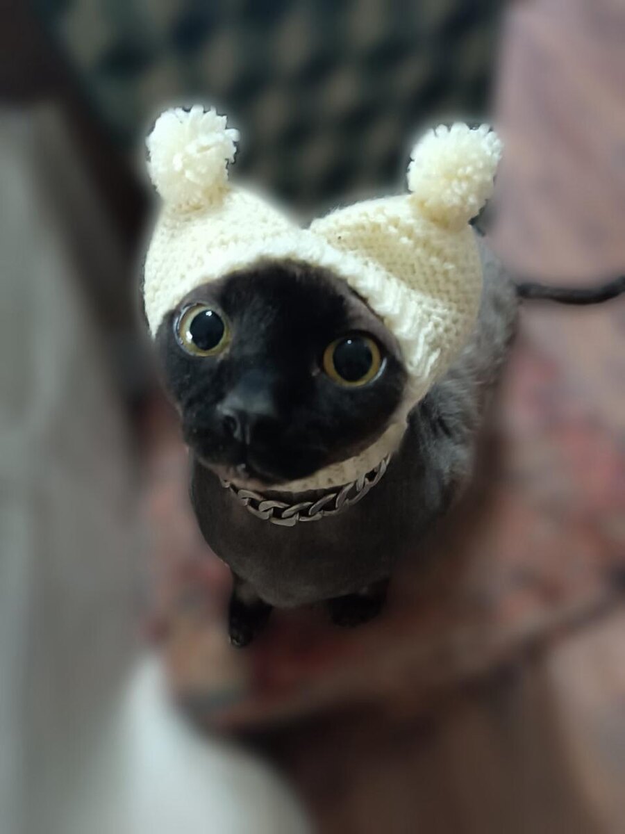 Примерка))))