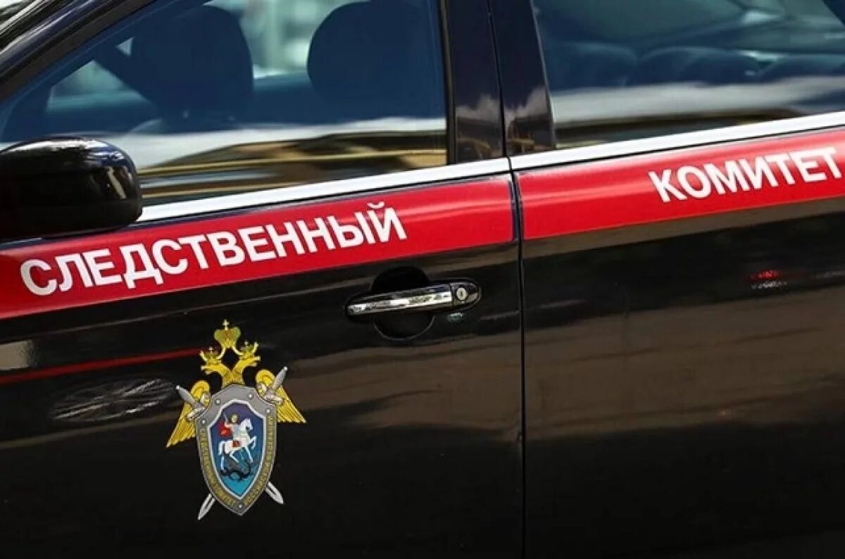    Дело завели из-за разрушенного проезда на село Паша в Ленобласти