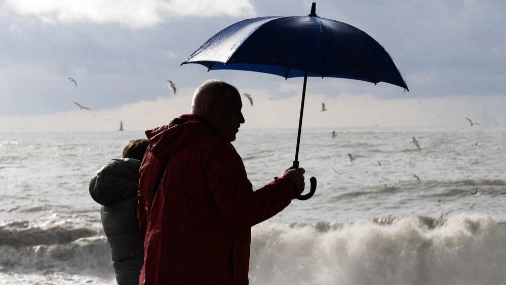    Фото: fortton/Shutterstock/Fotodom