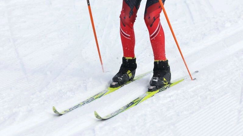    Фото: Андрей Ткачев / «Ямал-Медиа»