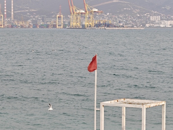    Фото: Юрий Серебренников/BFM Кубань