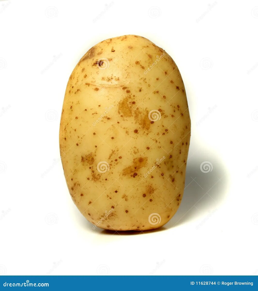 картошка которая стоит 