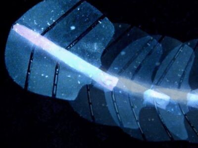    Робот-скат использует микропузырьковые мышцы для движения