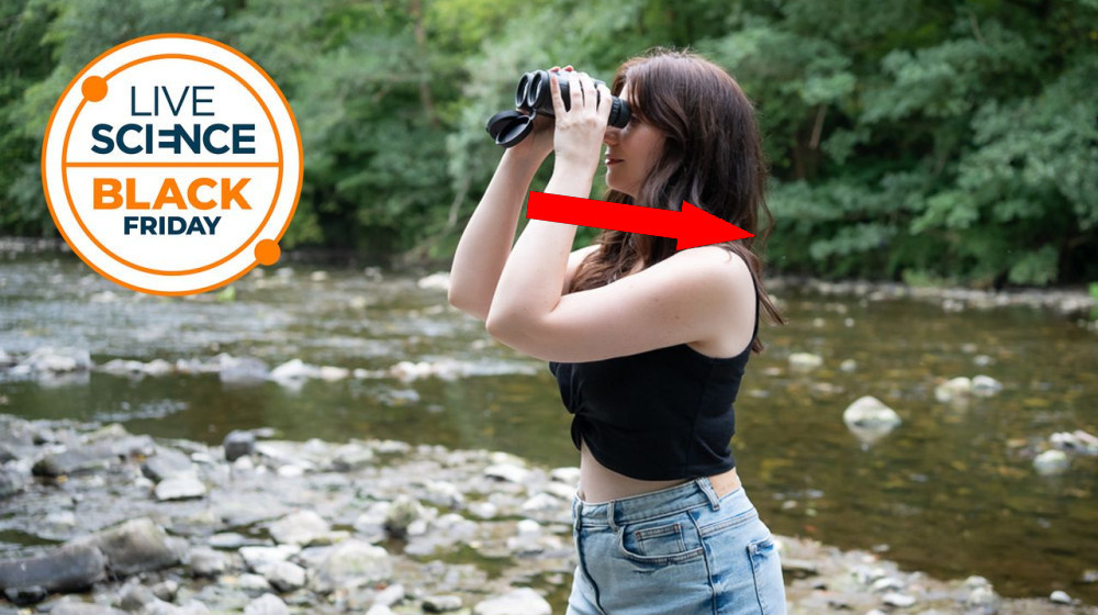    Как выбрать бюджетные бинокли для наблюдения за птицами в преддверии Черной Пятницы