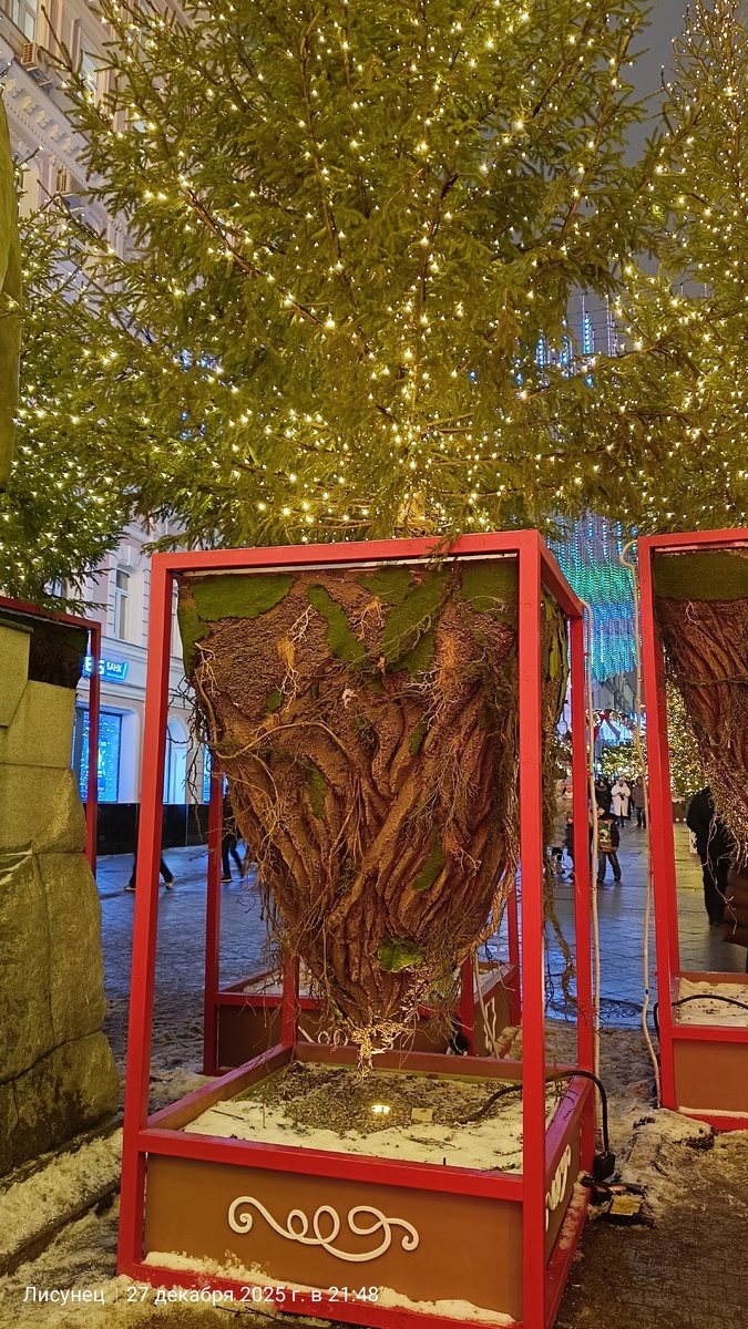 Такие красвицы ёлочки стоят перед входом в переулок.