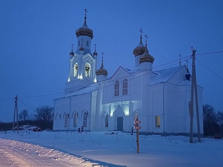     Фото: телеграм0канал правительства Курганской области