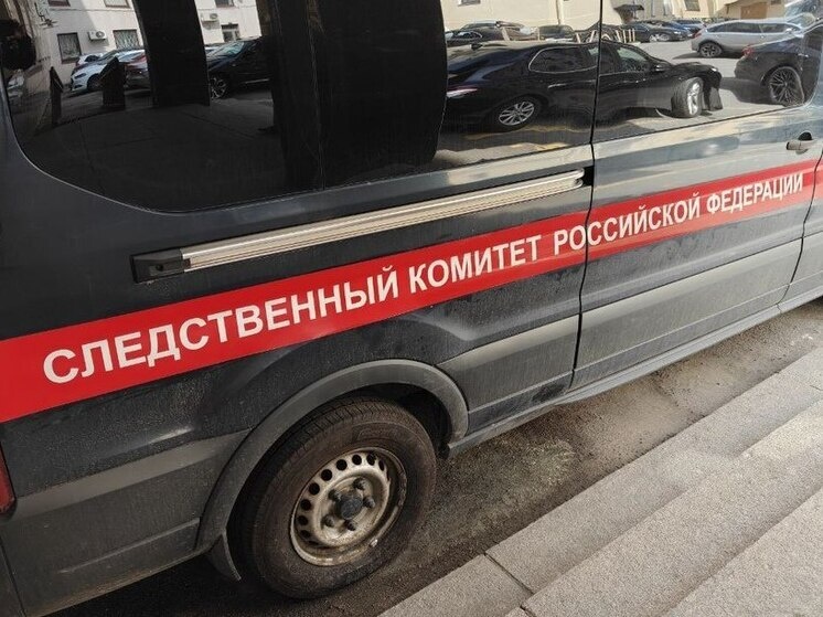     Фото: Архив МК в Питере.