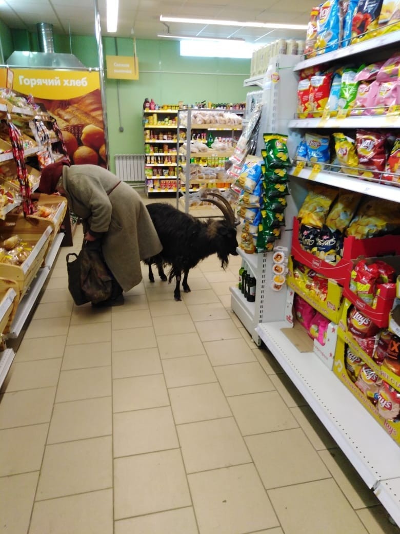 На снимке: каждому свое?