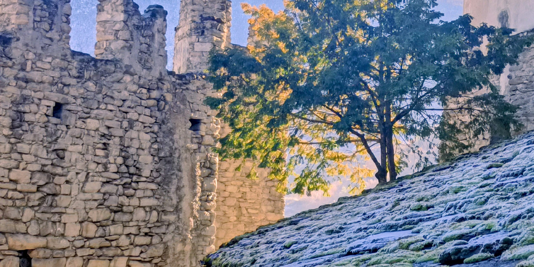 Чудовищные существа средневековой фэнтези