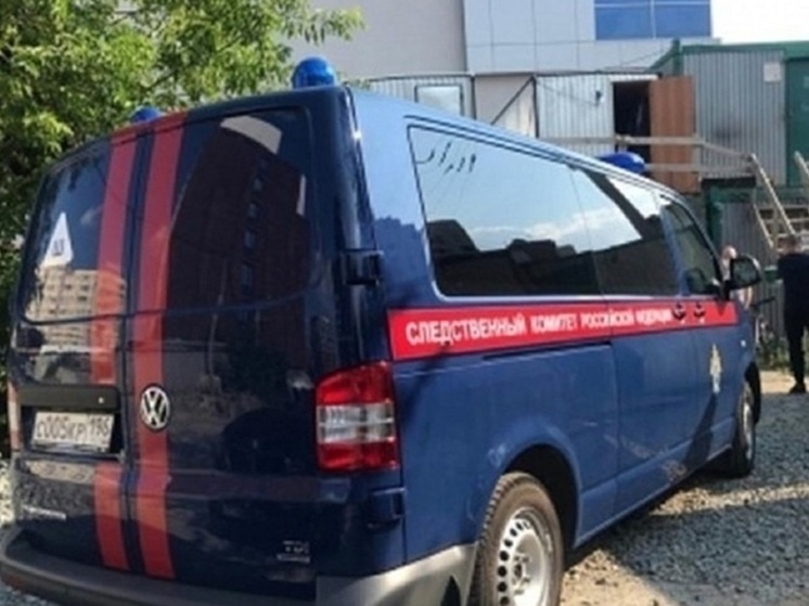     Фото: СУ СКР по Свердловской области