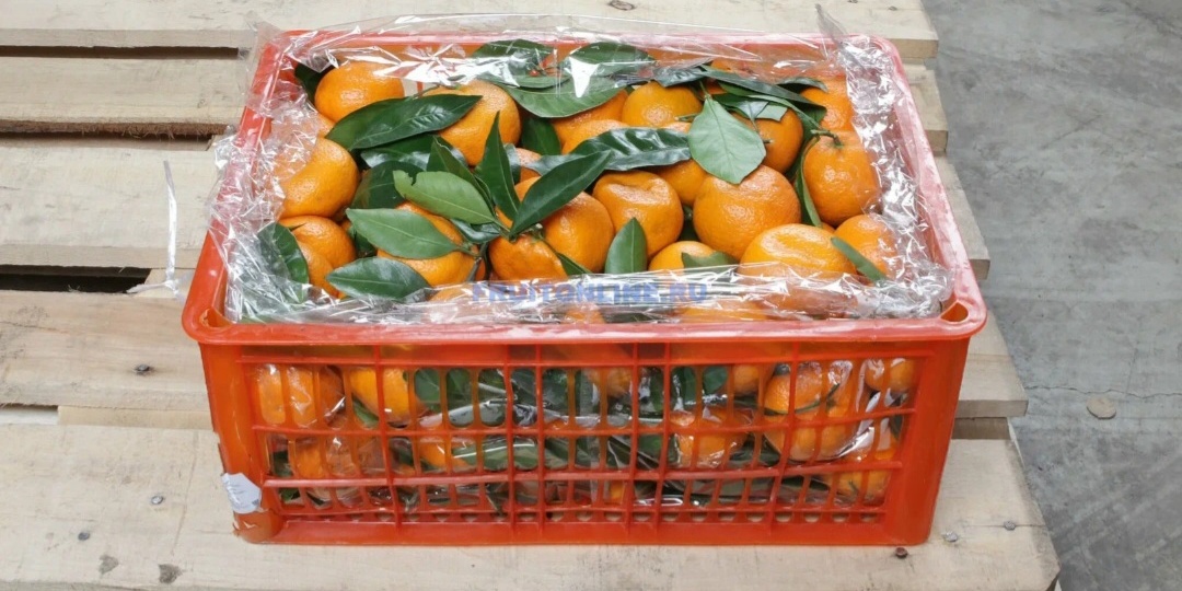 20000 рублей на пенсии: выживать или жить? Почему инвестиции становятся необходимостью?