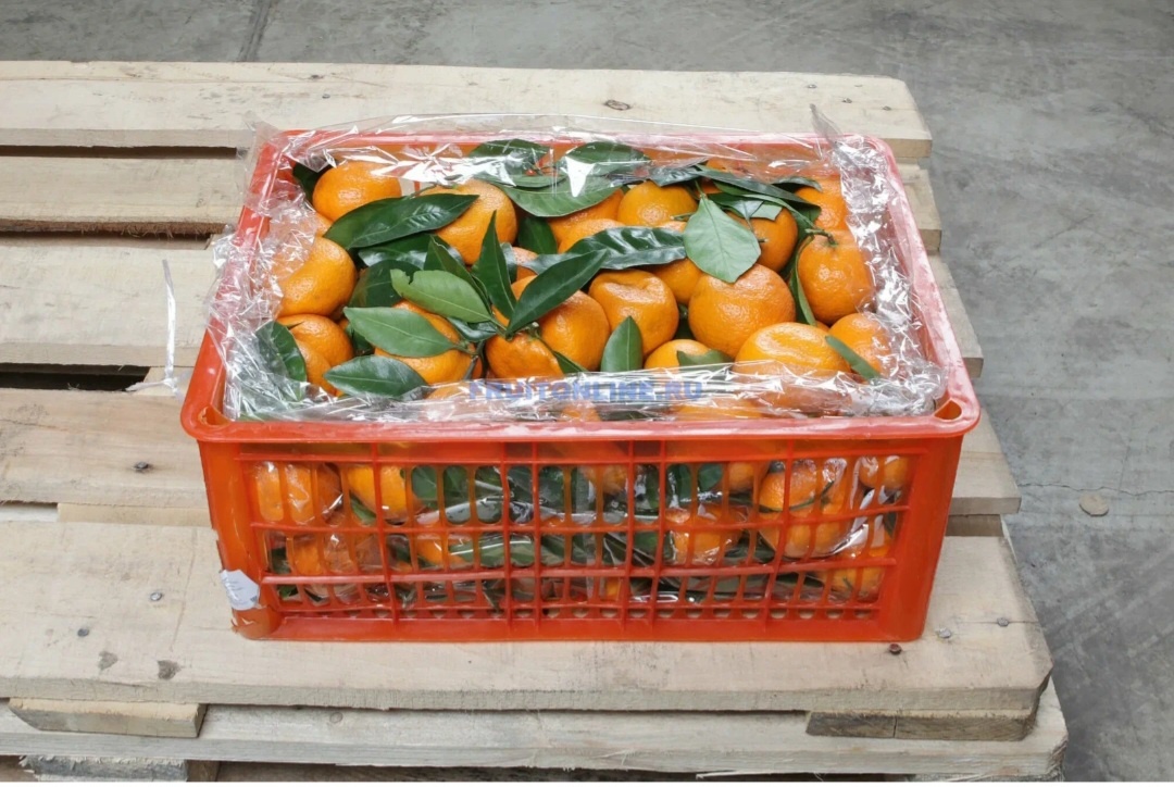 Запах мандаринов--значит, Новый год близко:)