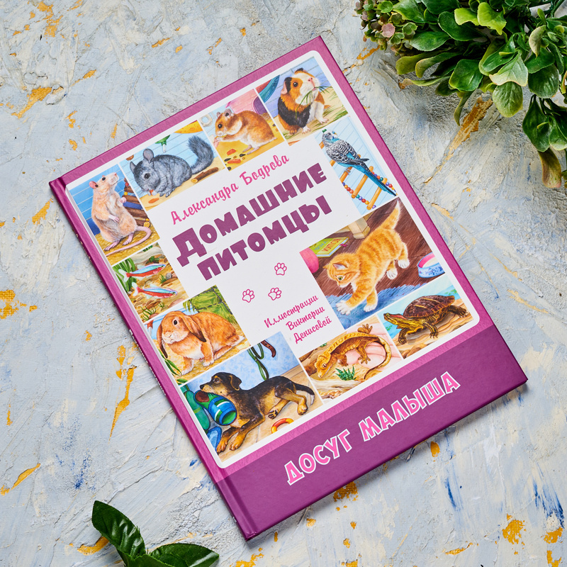 А. Бодрова "Домашние питомцы". Илл. В. Денисова