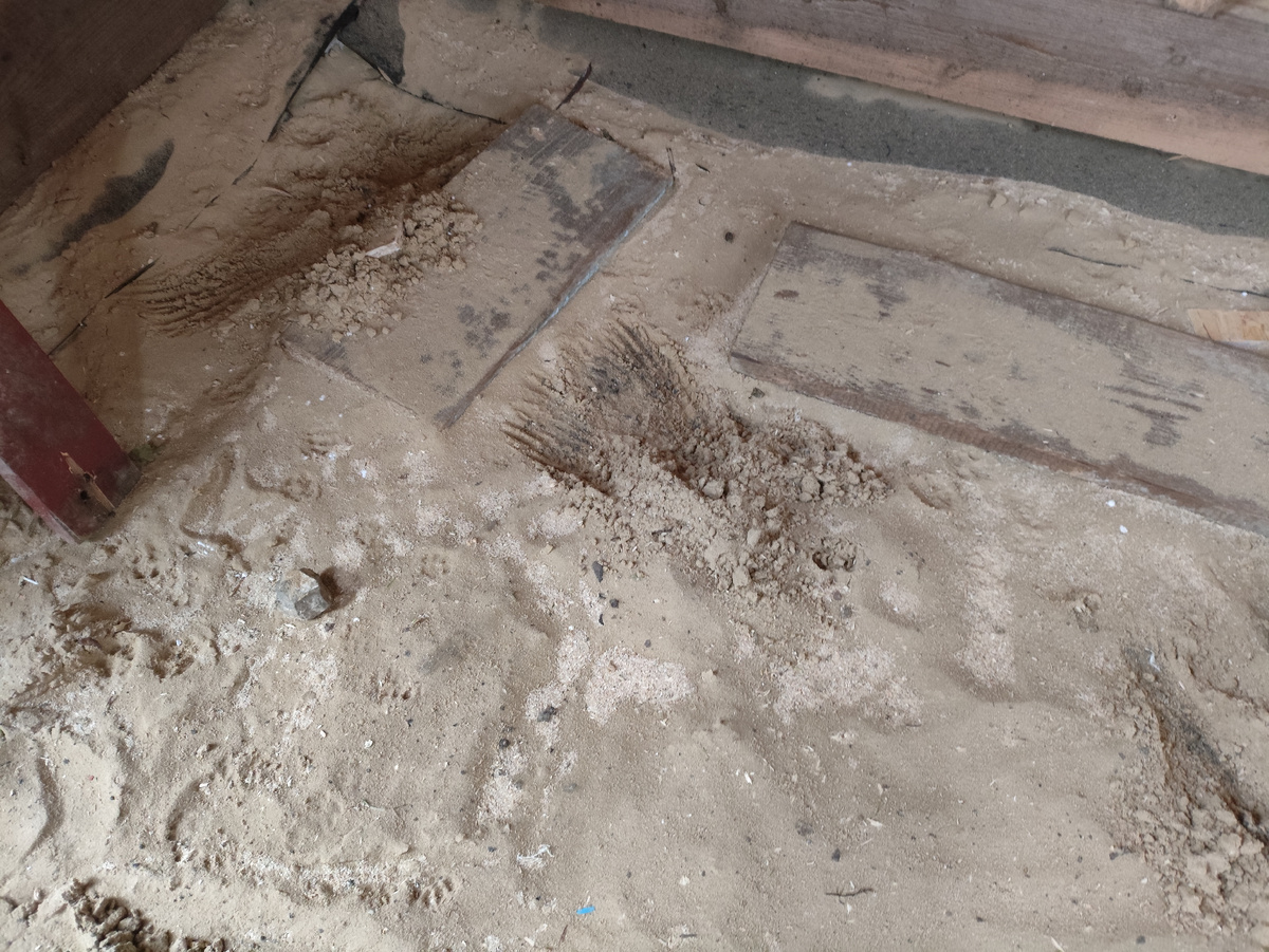 Не сарай, а огромный кошачий лоток....