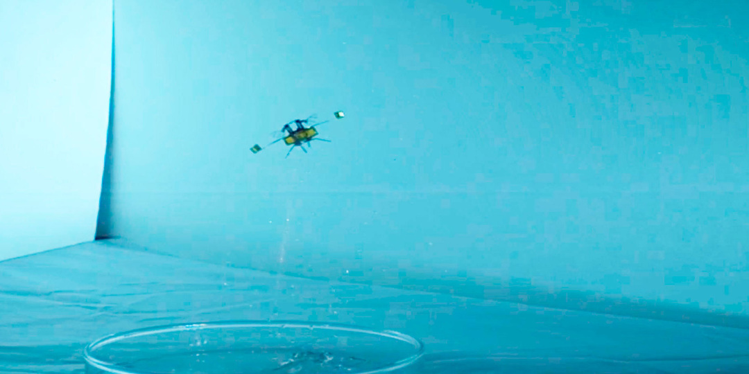 RoboBee – летающий микробот, способный выполнять поисково-спасательные операции