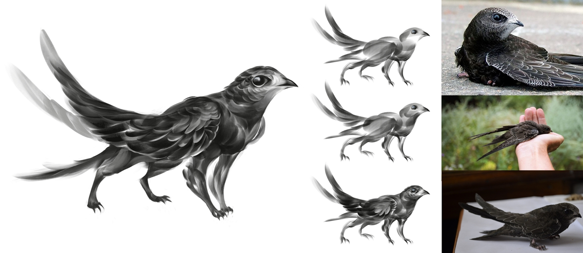 а этот малыш  усердно прятал свои вторые лапки