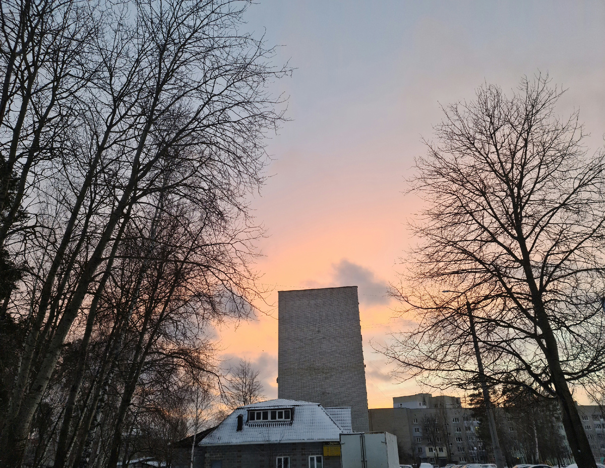 И кстати животные отнюдь существа далеко не ленивые, а все резвые, активные, жизнерадостные, общительные, сильные и очень все умеют понимать и видят некоторых людей словно насквозь и могут отомстить за какого-нибудь человека сполна