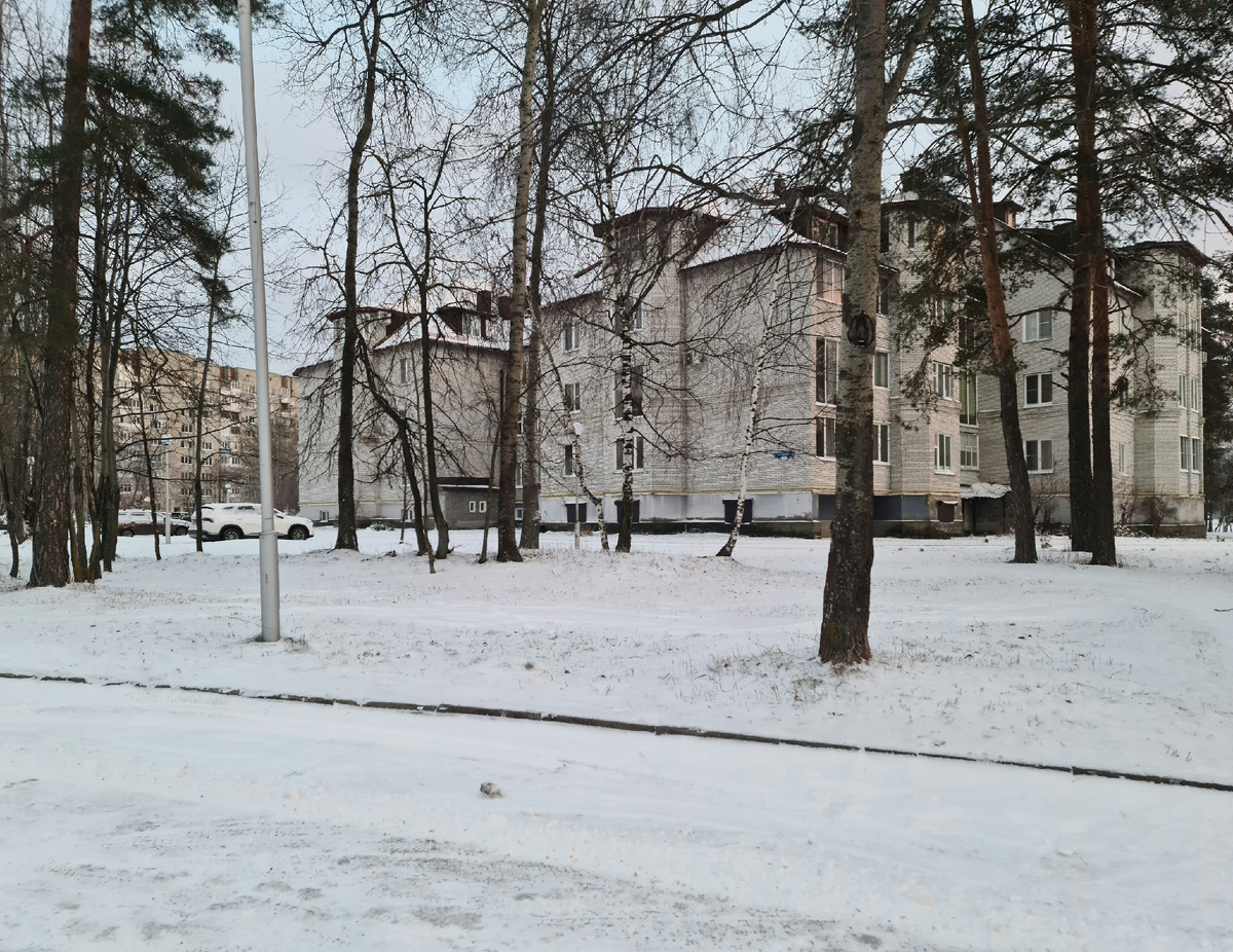 А в некоторых городах или селах даже медведи бегают. Или лоси встречаются внезапно