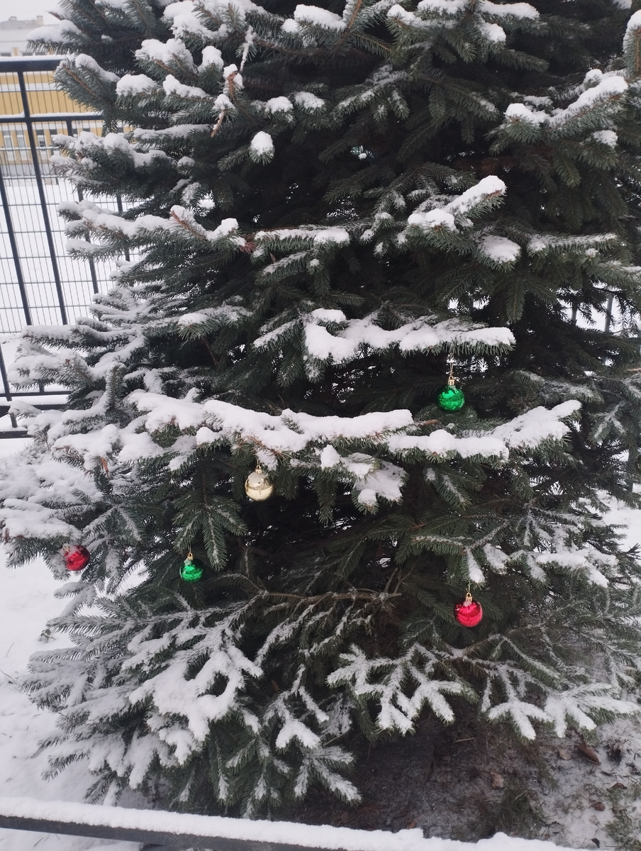 И ёлочки украшаются сами собой :)