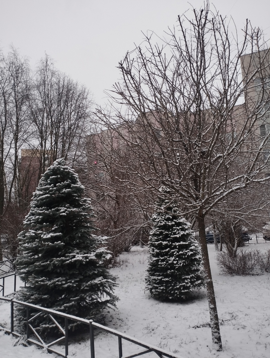 Мир снега и милых елочек