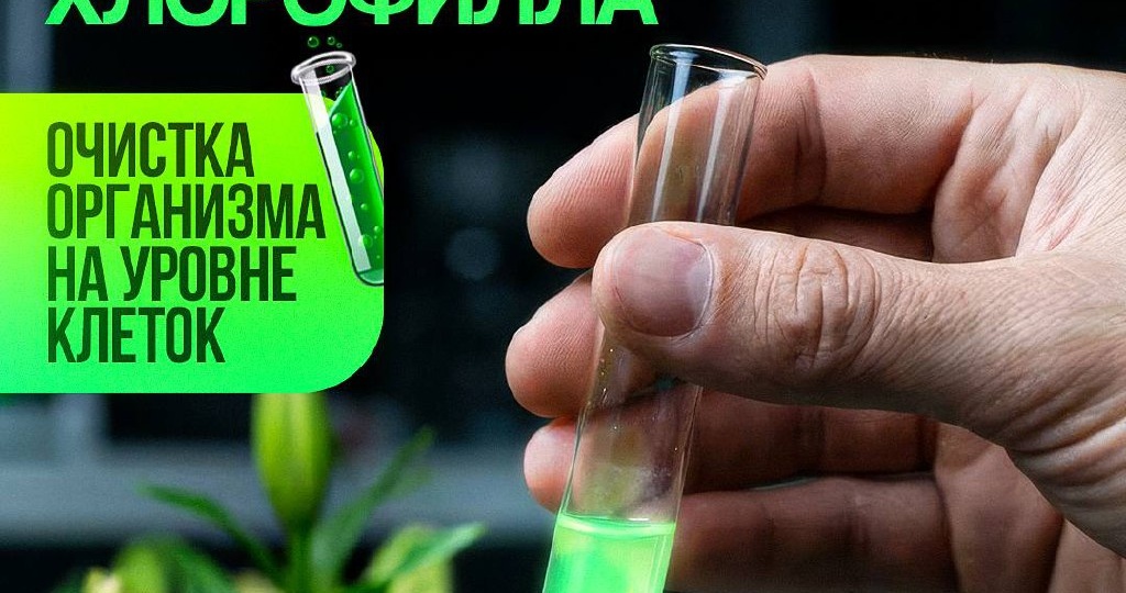 И мы не просто так сделали Хлорофилл нашим Бестселлером