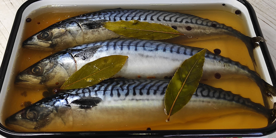 Малосольная СКУМБРИЯ пряного ПОСОЛА! Как ВКУСНО засолить СКУМБРИЮ!