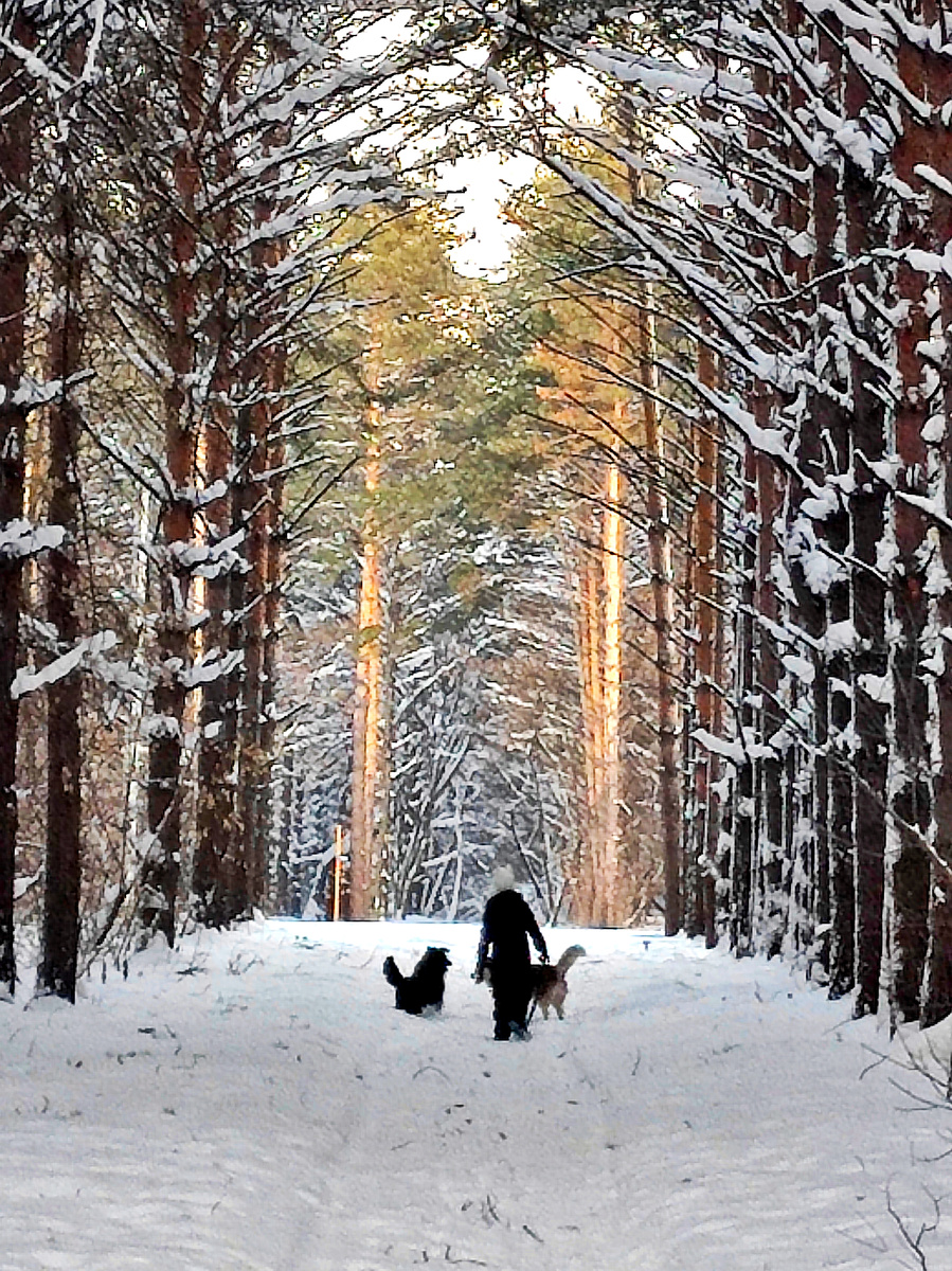 Фото автора 