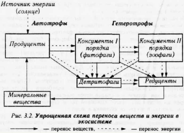 Рис. 1. Круговорот веществ в экосистеме