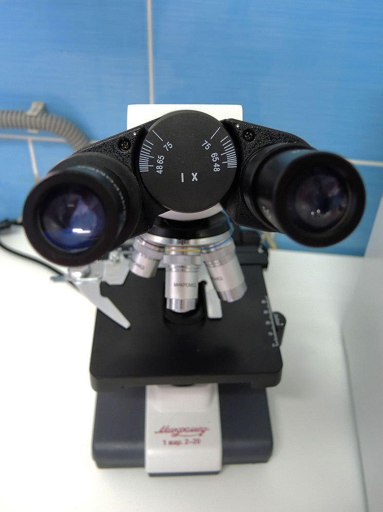   Наталья Мущинкина