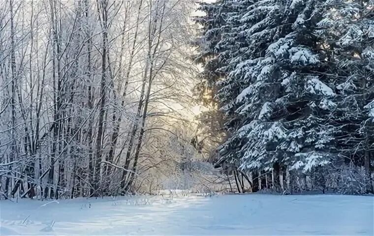 Фото из сети. 