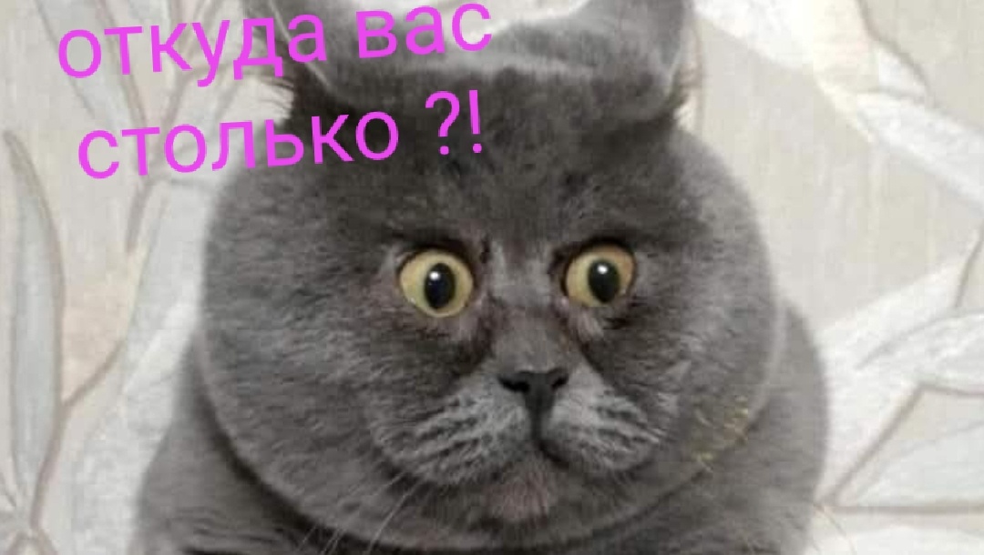 Из открытых источников