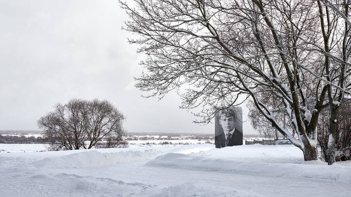  Фото: Shutterstock