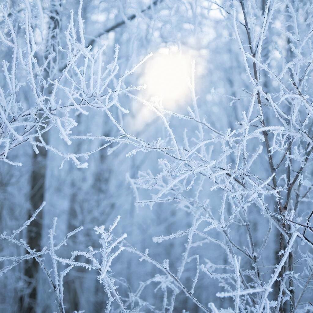 картинка ИИ