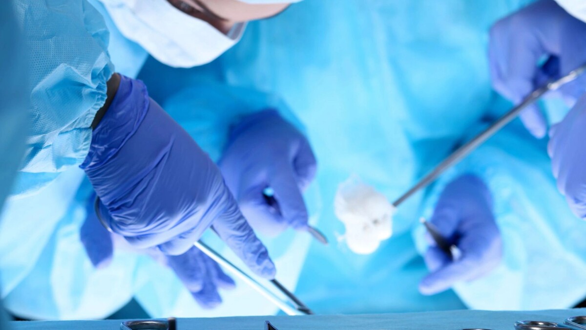    Фото: Andrei_R/Shutterstock/Fotodom