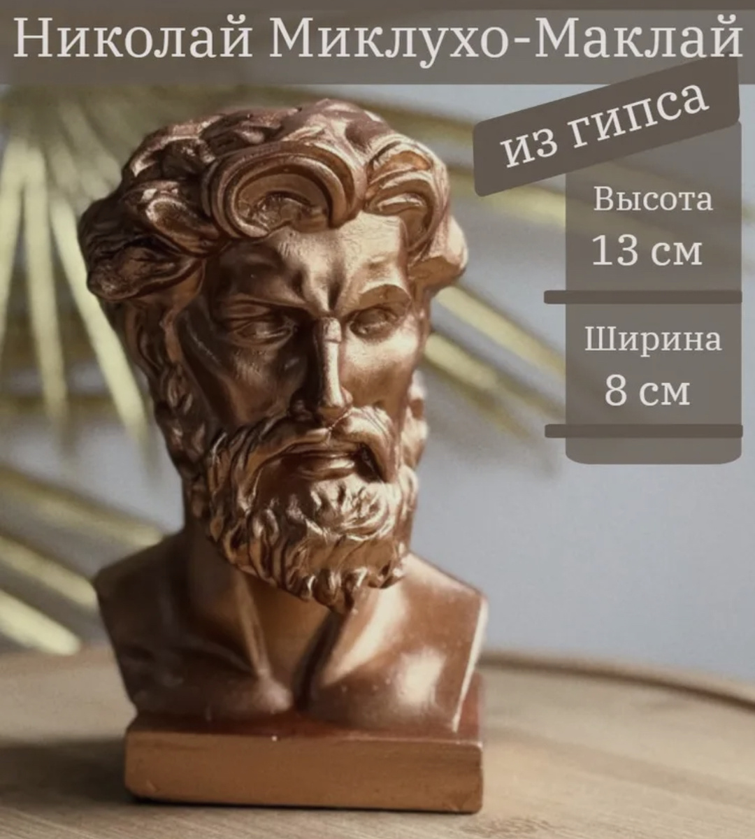 Николай Миклухо-Маклай, чей бюст хранит черты смелого исследователя, стал живым мостом между цивилизациями и доказал, что уважение важнее силы.