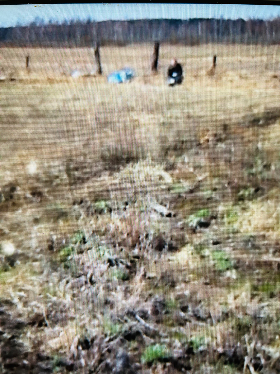 Там, где сейчас рукотворный лес. Фото Мой второй сад.  