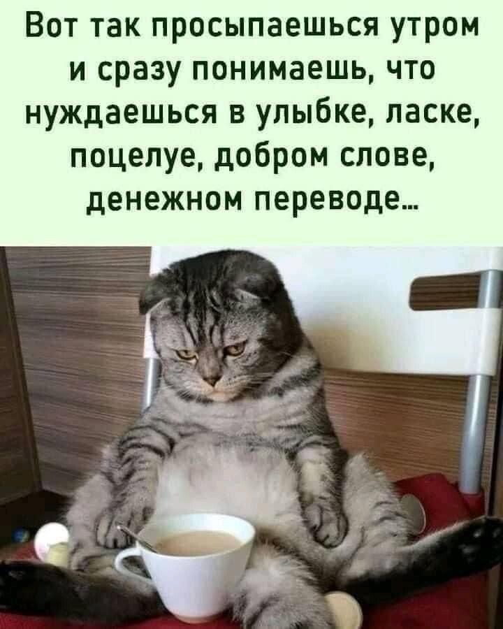 источник Яндекс-картинки