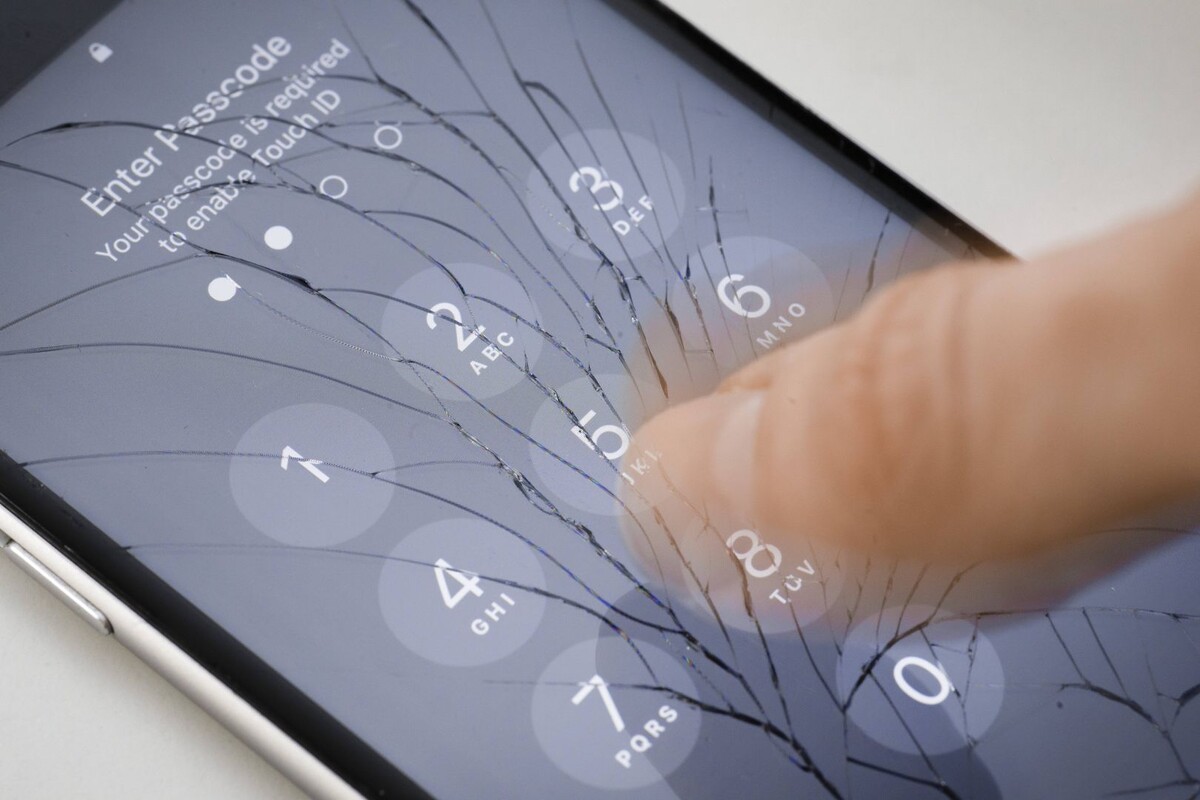     / Источник: © Global Look Press