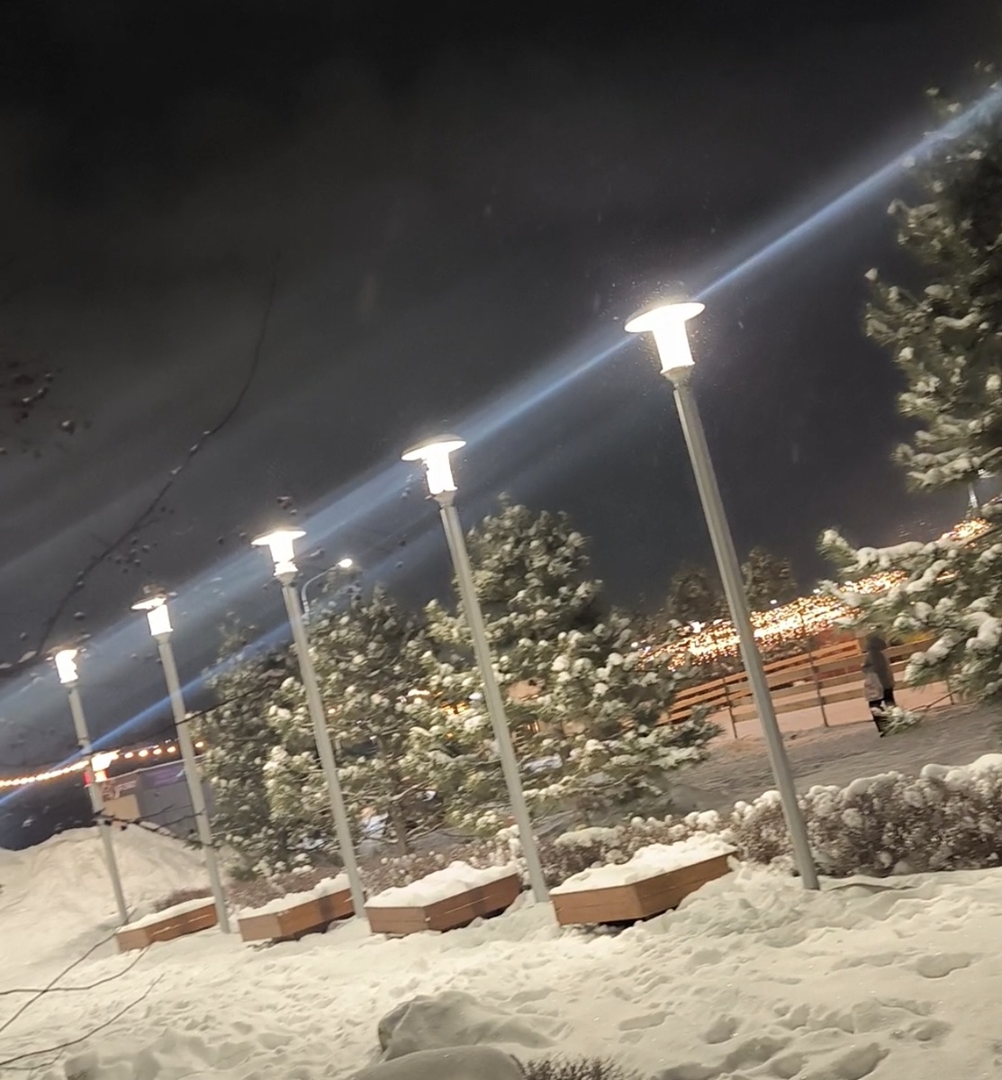 Фотографии в статье авторские. 