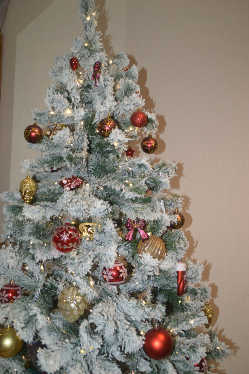 Моя новогодняя ёлочка) Только верхушка, потому что ель больше двух метров высотой)