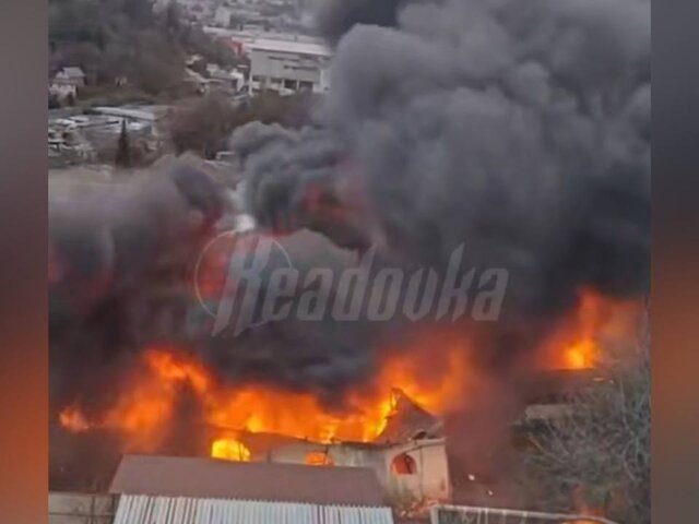    Фото: телеграм-канал Readovka